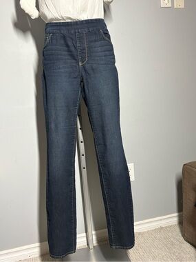 Gloria Vanderbilt Straight-Leg Pull-On Jeans in Dark Blue Size 14